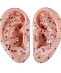orelhas para auriculopunctura